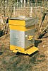 hive fanera -68.jpg hive fanera -68.jpg